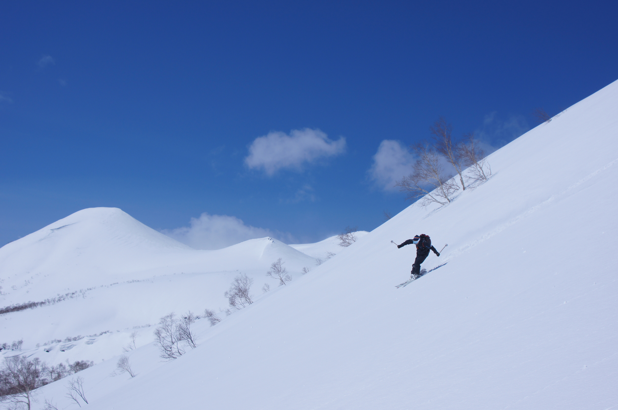二世谷的粉雪與滑雪者