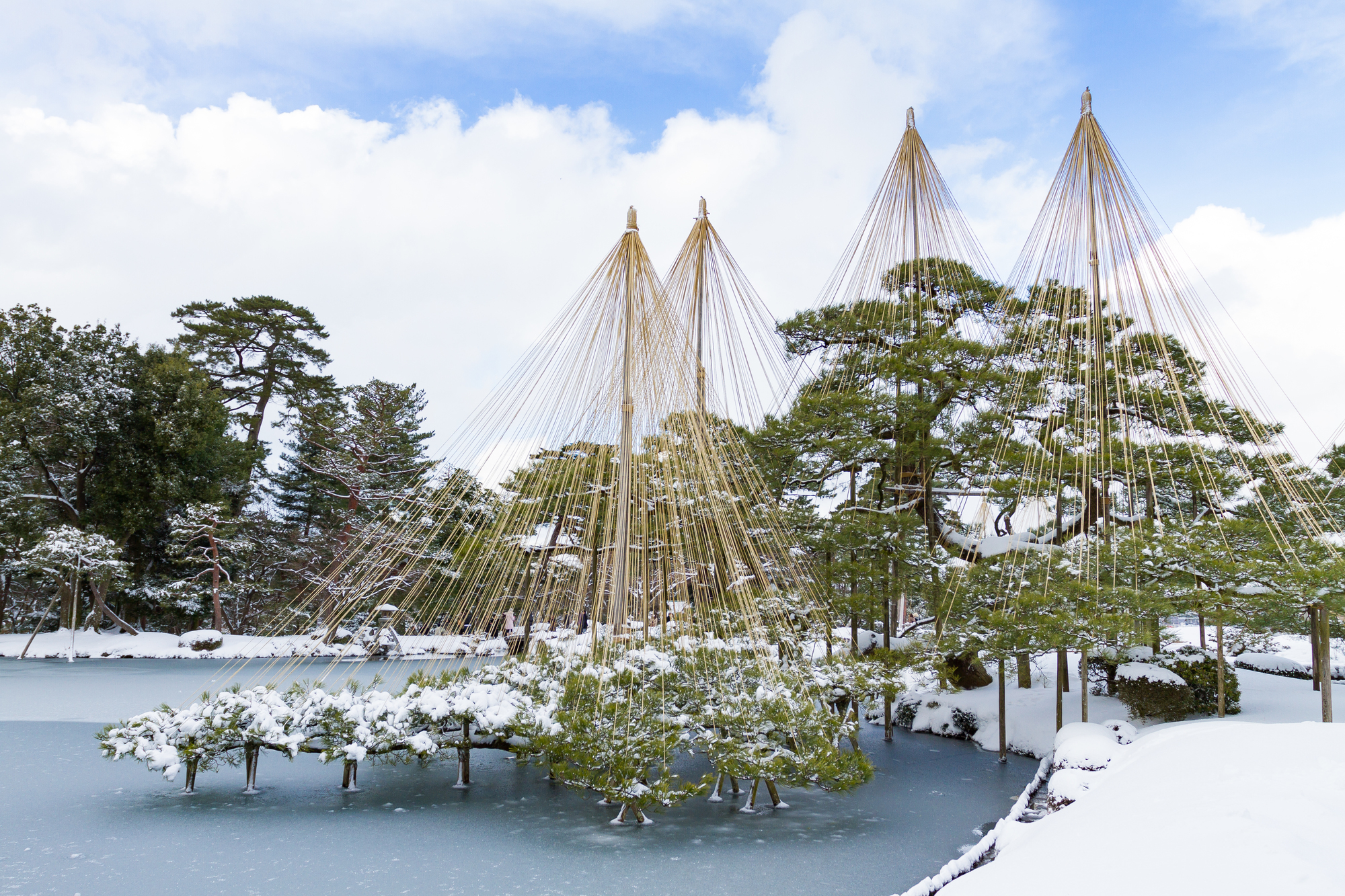 冬季裝有雪吊的兼六園