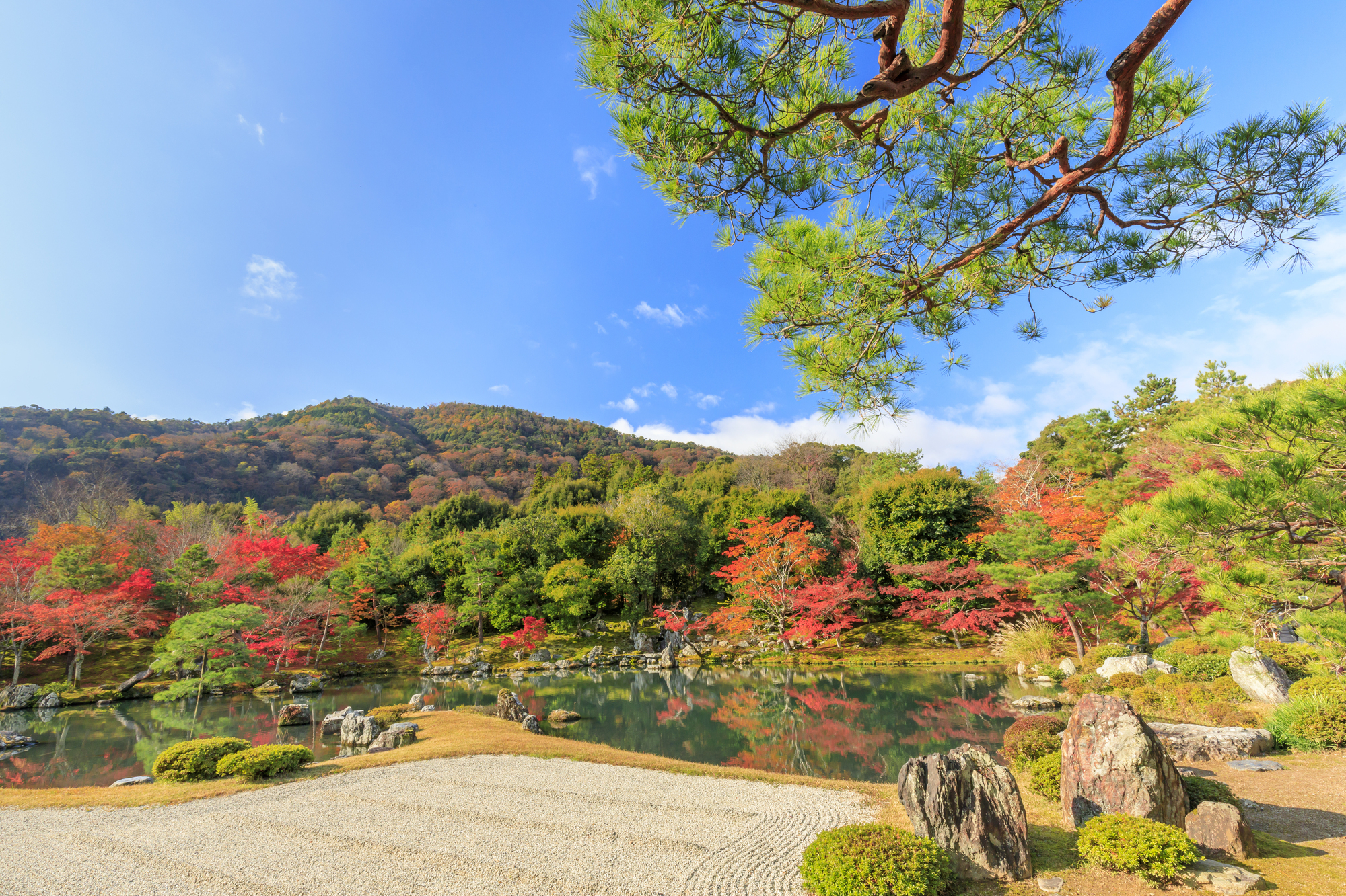 1-2. 禪宗精神與庭園之美:嵐山的文化遺產與世界遺產