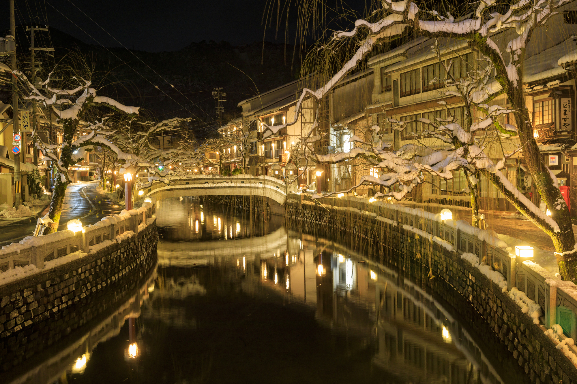 夜晚的城崎溫泉,太鼓橋與柳樹