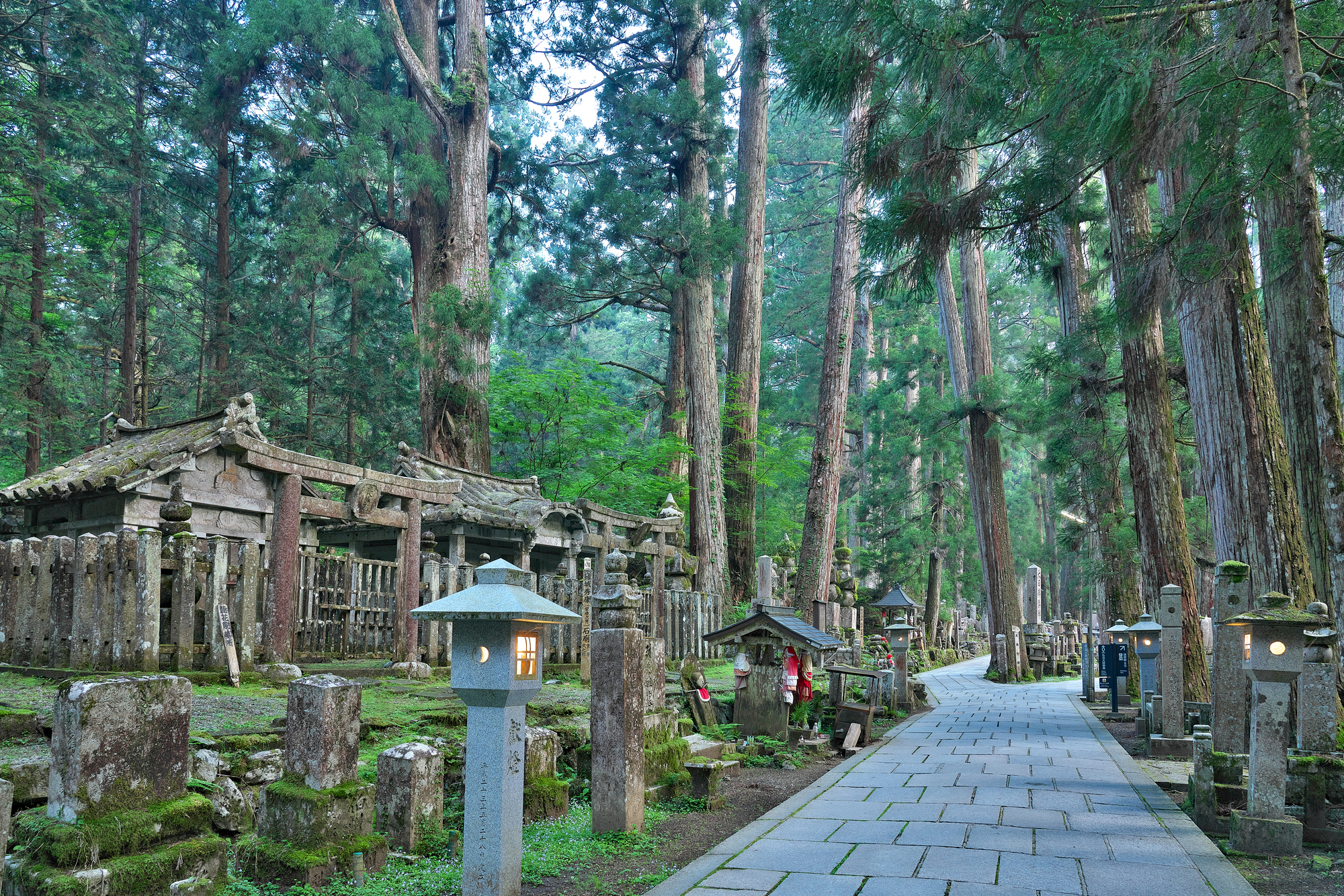 歡迎來到雲上宗教都市——高野山