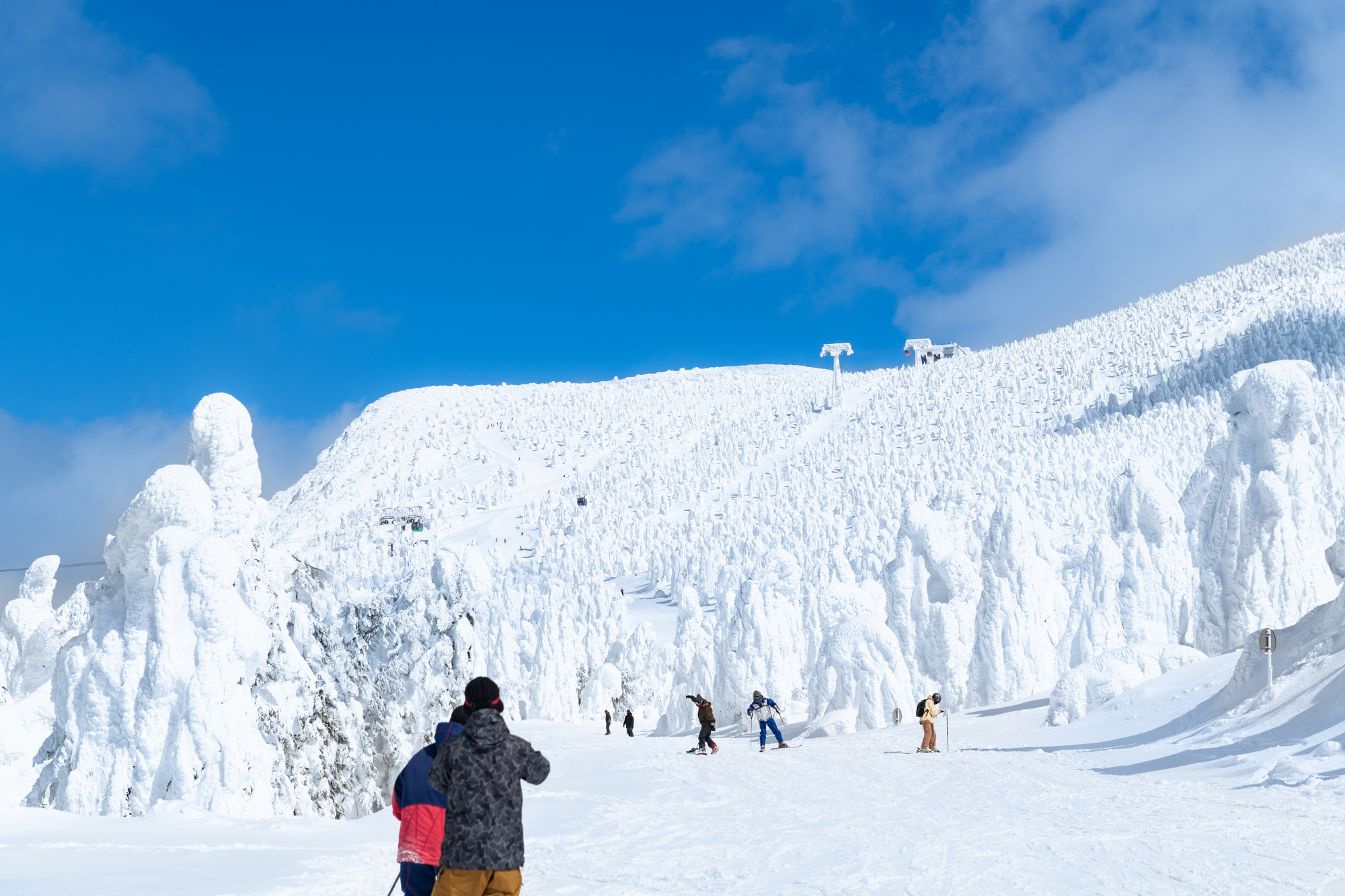 山形藏王的樹冰(雪怪)