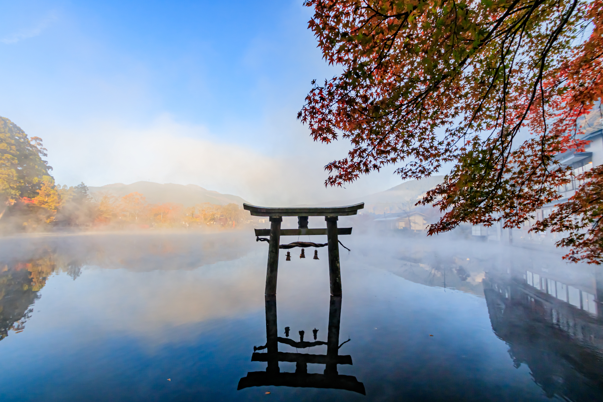 3-2. 金鱗湖區域:為守護夢幻風景的心得